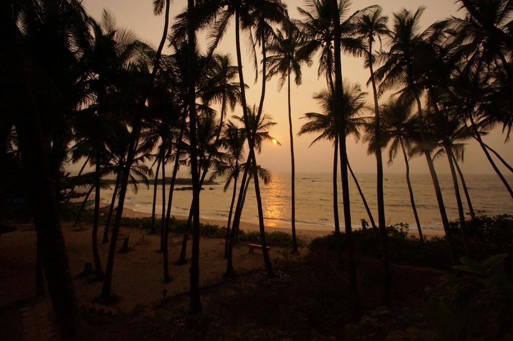 Chera Rocks Beach House Hotel Thottada Bilik gambar