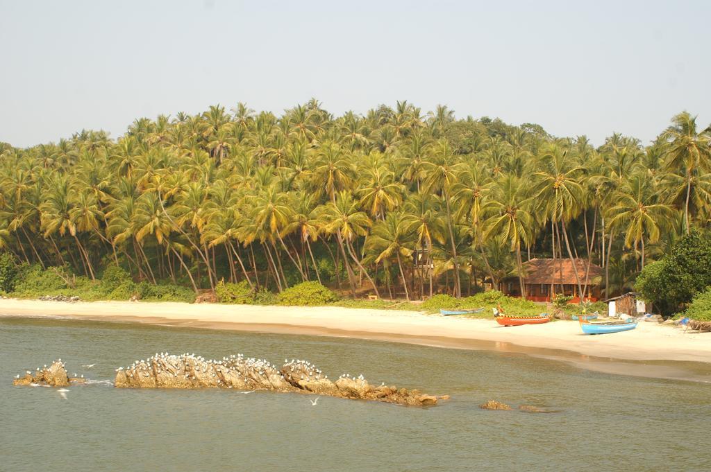 Chera Rocks Beach House Hotel Thottada Bilik gambar